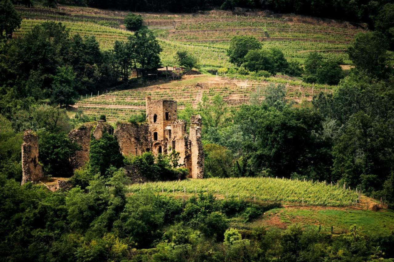 Agriresort Gelso- Adults Friendly * Vesime