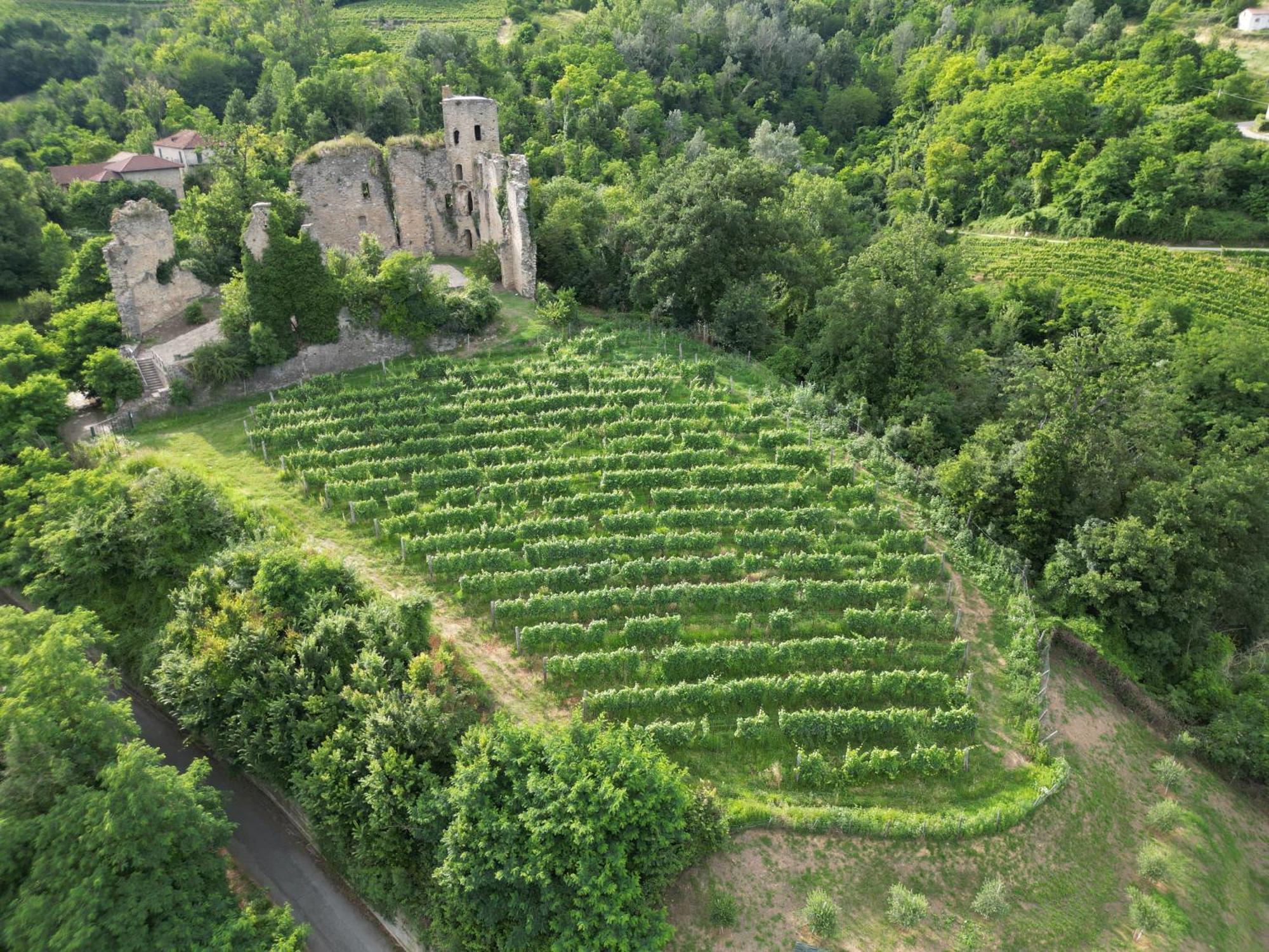 Gelso Agroturismo